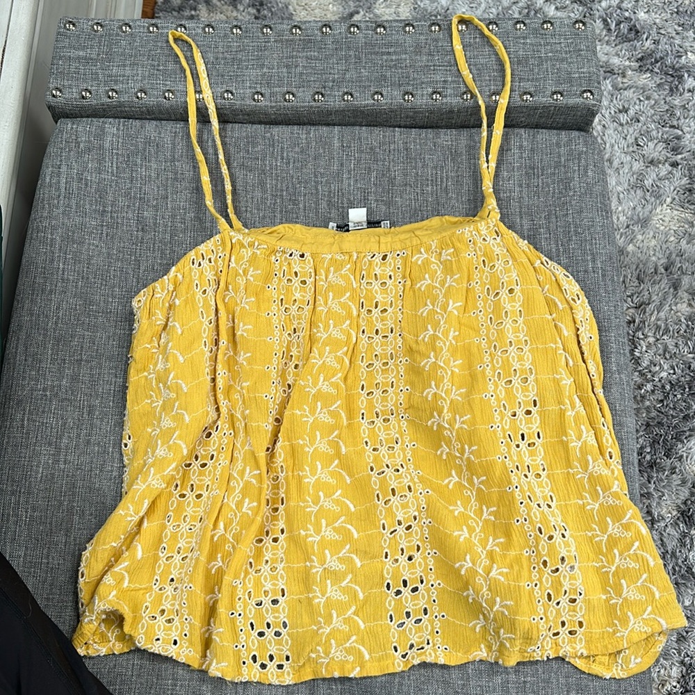 American Eagle Embroidered Crop Top